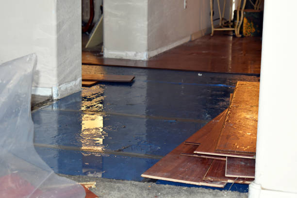 Professional Water Damage technician working in Shirley, NY